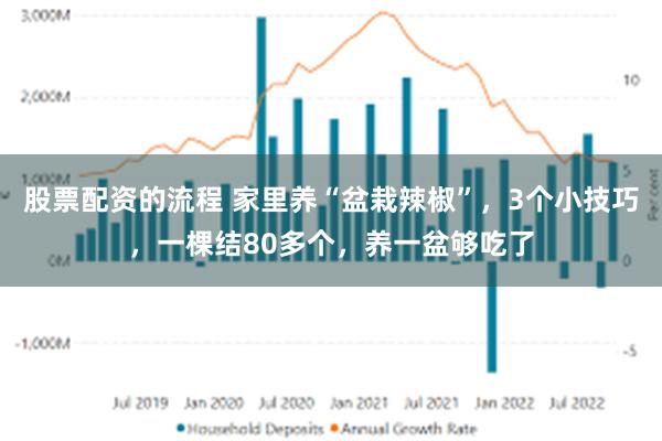 股票配资的流程 家里养“盆栽辣椒”，3个小技巧，一棵结80多个，养一盆够吃了