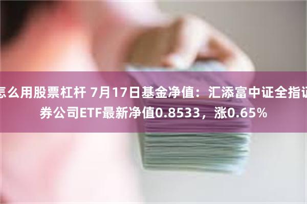 怎么用股票杠杆 7月17日基金净值：汇添富中证全指证券公司ETF最新净值0.8533，涨0.65%