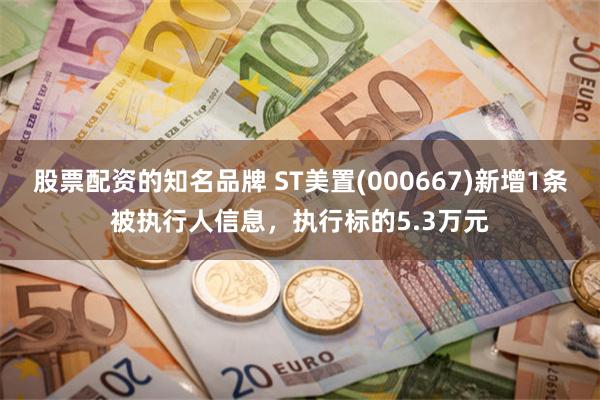 股票配资的知名品牌 ST美置(000667)新增1条被执行人信息，执行标的5.3万元