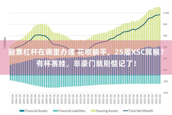 股票杠杆在哪里办理 花呗躺平，25届XSC属猴？有杯赛娃，非豪门就别惦记了！