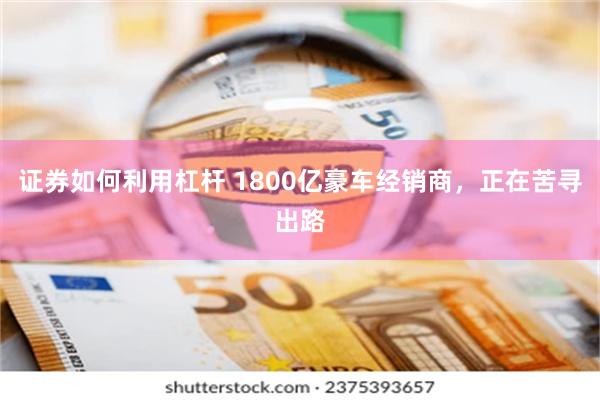 证券如何利用杠杆 1800亿豪车经销商，正在苦寻出路