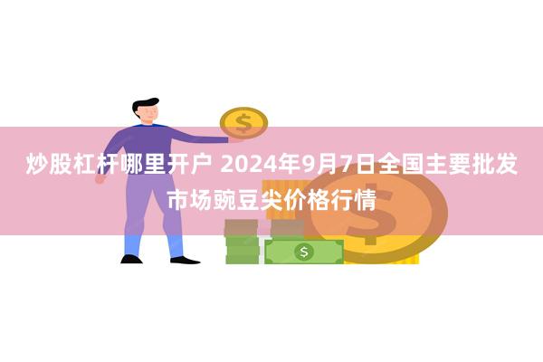 炒股杠杆哪里开户 2024年9月7日全国主要批发市场豌豆尖价格行情