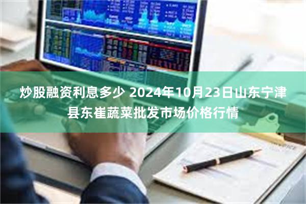 炒股融资利息多少 2024年10月23日山东宁津县东崔蔬菜批发市场价格行情