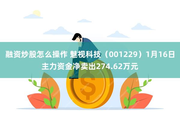 融资炒股怎么操作 魅视科技（001229）1月16日主力资金净卖出274.62万元