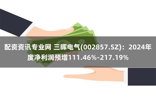 配资资讯专业网 三晖电气(002857.SZ)：2024年度净利润预增111.46%-217.19%