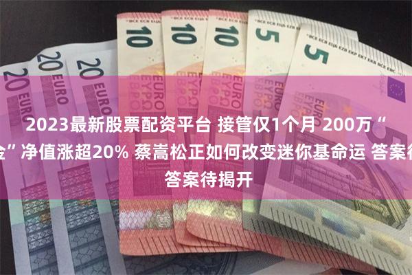 2023最新股票配资平台 接管仅1个月 200万“壳基金”净值涨超20% 蔡嵩松正如何改变迷你基命运 答案待揭开